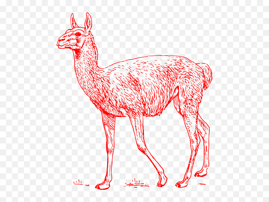 Red Llama Outline Clip Art At Clkercom - Vector Clip Art Emoji,Llama Head Clipart