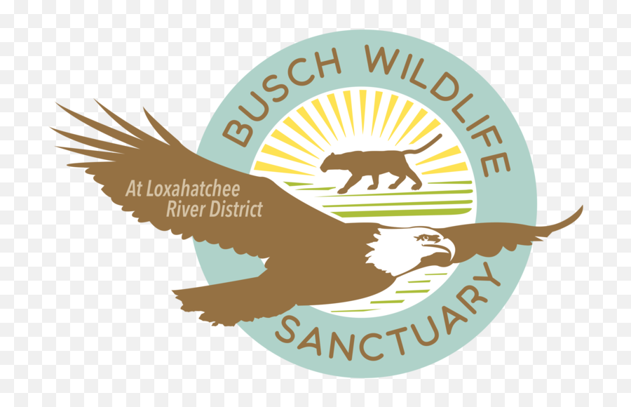 The Busch Wildlife Sanctuary Inc - Program Support Bald Eagle Emoji,Busch Logo