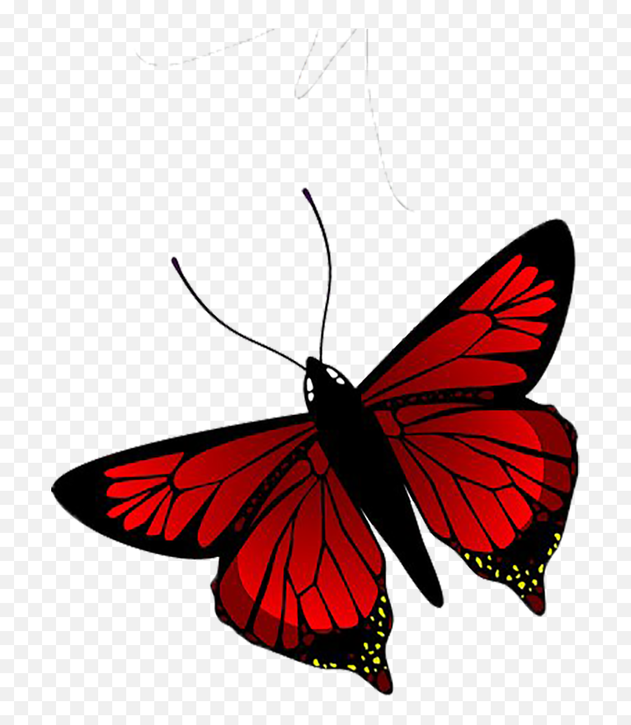 Free Transparent Butterfly Png Download - Red Butterfly Png Emoji,Butterfly Transparent