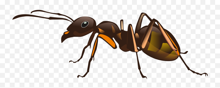 Download Hd Ant Clipart Big Ant - Ants Emoji,Ant Clipart