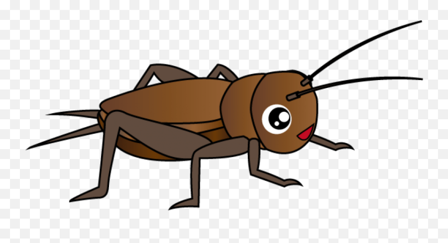 Cricket Insect Clipart Png - Insect Clipart Png Emoji,Bug Clipart