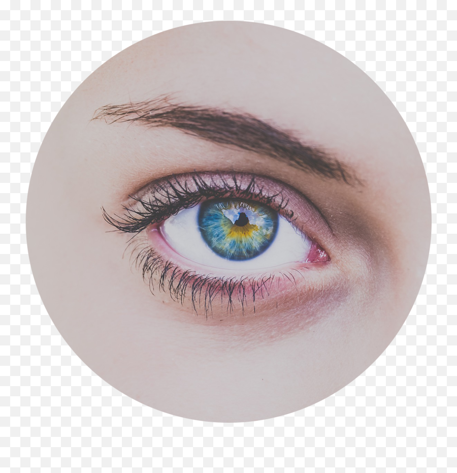 Welcome To Bespectacled Eye Care - Bespectacled Eye Care Emoji,Green Eyes Png