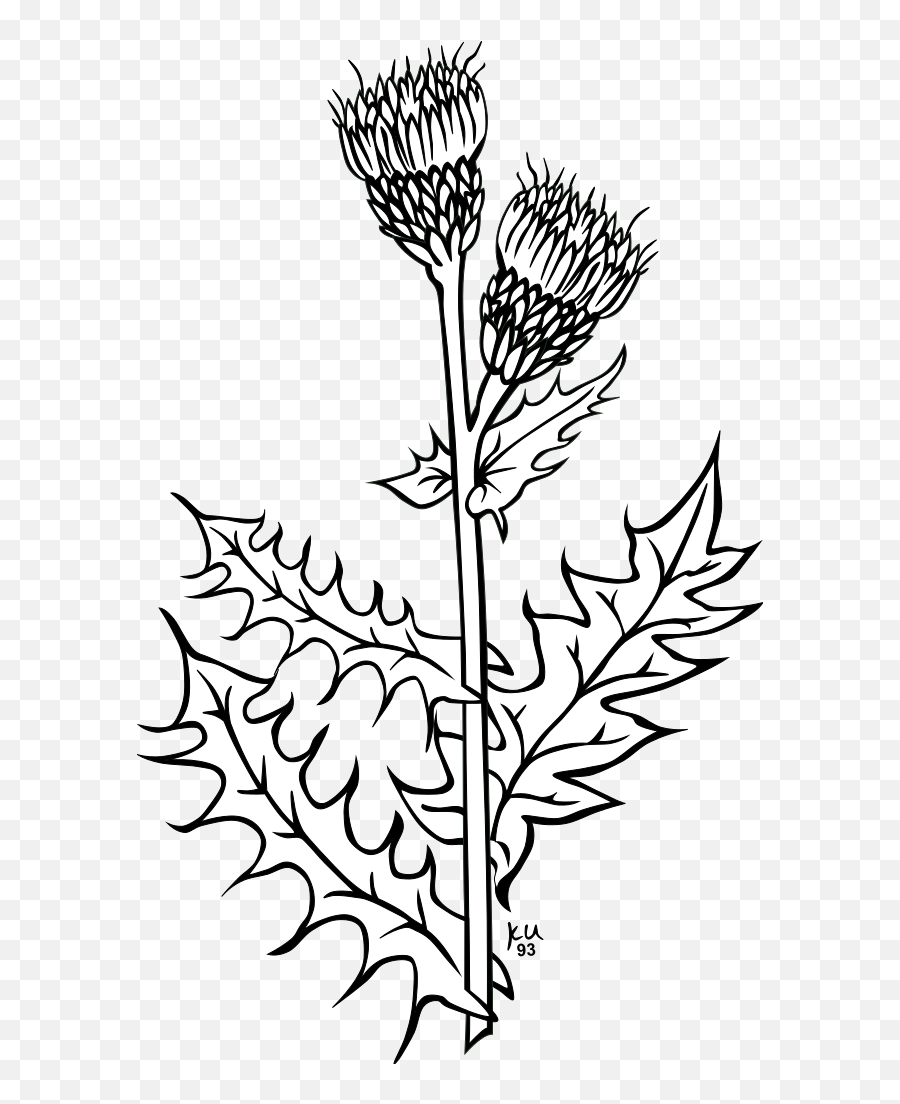Weed Plant Svg Clip Arts Download - Download Clip Art Png Emoji,Succulent Clipart Black And White