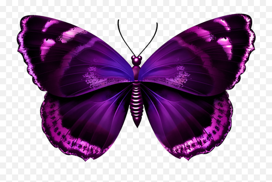 Real Butterfly Png - Purple Butterfly Hd Png Emoji,Butterfly Transparent Background
