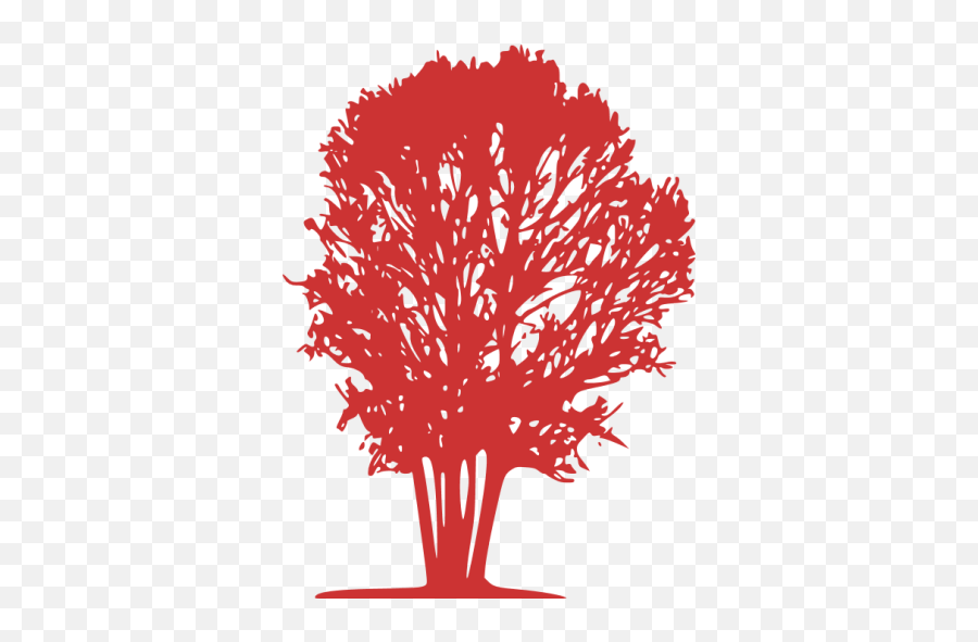 Persian Red Tree 31 Icon - Free Persian Red Tree Icons Emoji,Red Tree Png