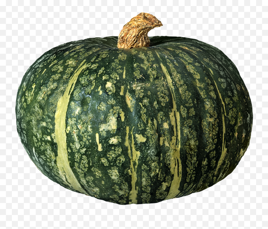 Pumpkin Png Image - Green Pumpkin Png Emoji,Pumpkin Transparent