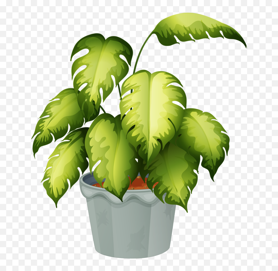 Flowering Plant Clip Art - Flower Pot Png Download 699800 Transparent Background Potted Plants Clipart Emoji,Flower Pot Clipart