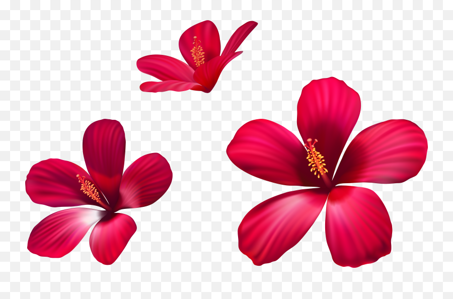 Download Hd Pink Flowers Png Transparent Png Image - Nicepngcom Emoji,Pink Flowers Png
