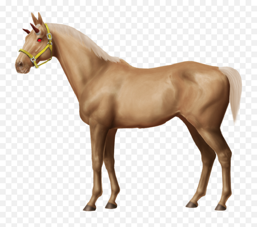 Devil Horse - Baby Horse Png Full Size Png Download Seekpng Halter Emoji,Horse Png