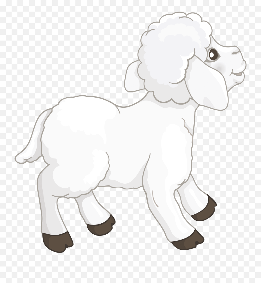 Transparent White Lamb Png Clipart - White Sheep Clipart Png Emoji,Transparent Picture