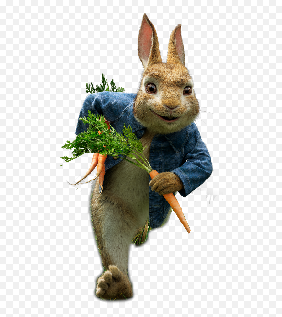 Peter Rabbit 2 Transparent Png Image - Transparent Peter Rabbit 2 Png Emoji,Peter Rabbit Png