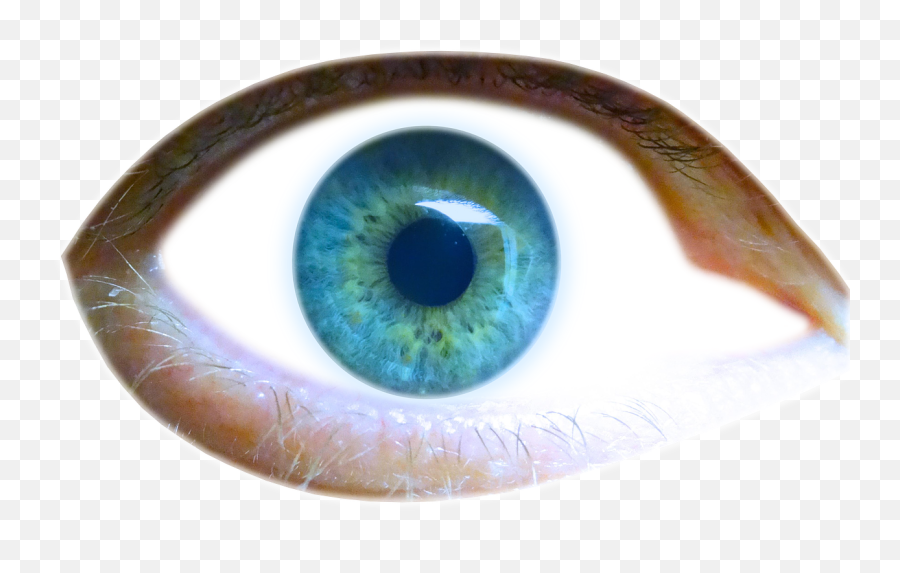 Eyeiriseyelidviewlook - Free Image From Needpixcom Emoji,Green Eyes Png