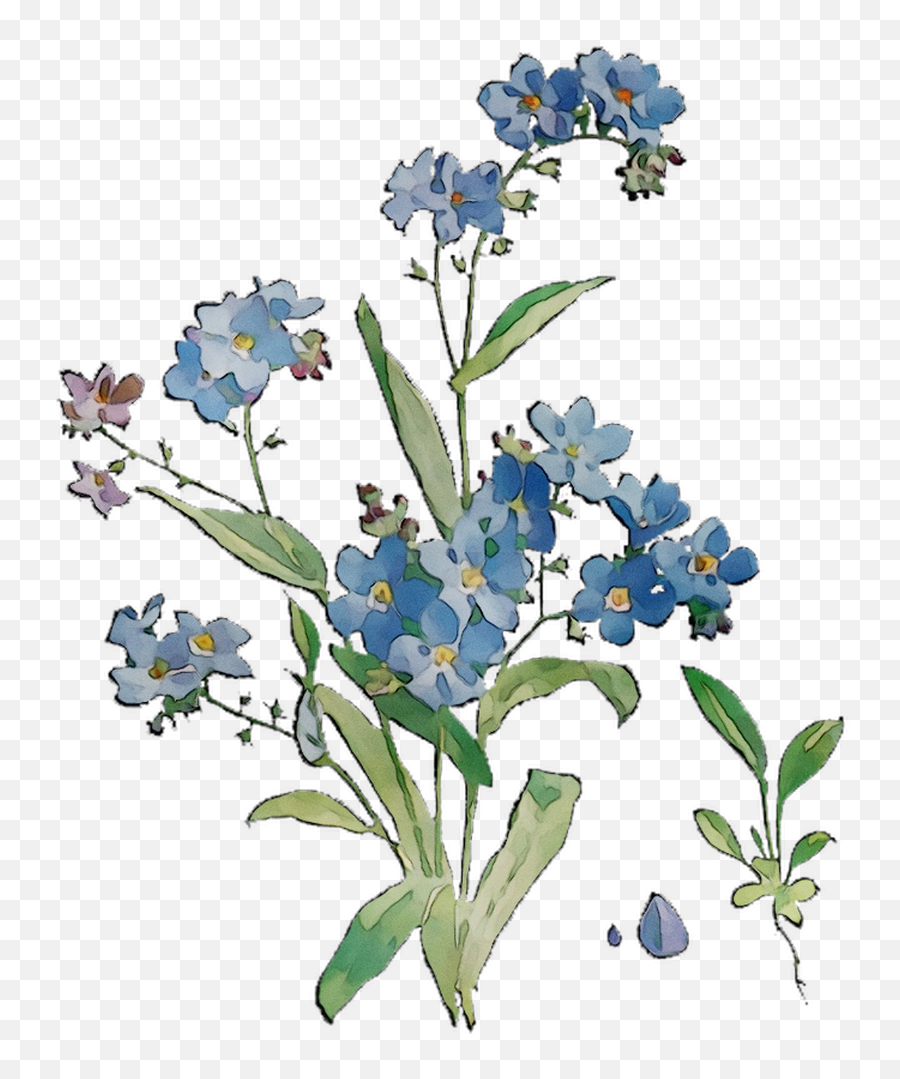 Download Bluebonnet Grasses Flowers Scorpion Cut Free Hd - California Lilac Png Emoji,Scorpion Clipart