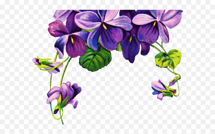 Purple Rose Clipart Leaf Outline - Purple Flower Borders Png Violet February Birth Flower Tattoo Emoji,Flower Outline Clipart