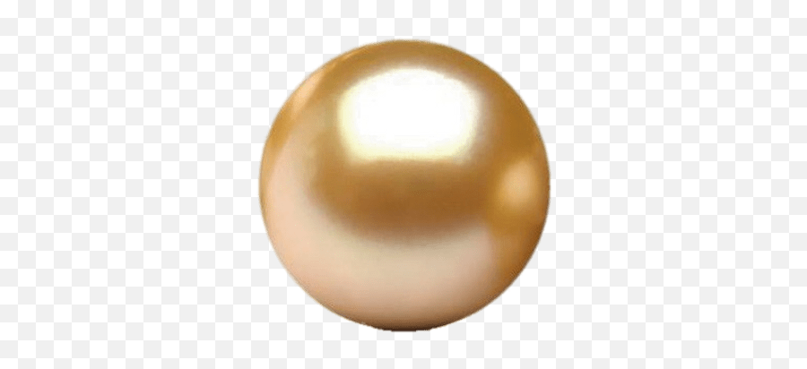 Golden South Sea Pearl Transparent Png - Golden South Sea Pearl Png Emoji,Pearls Png