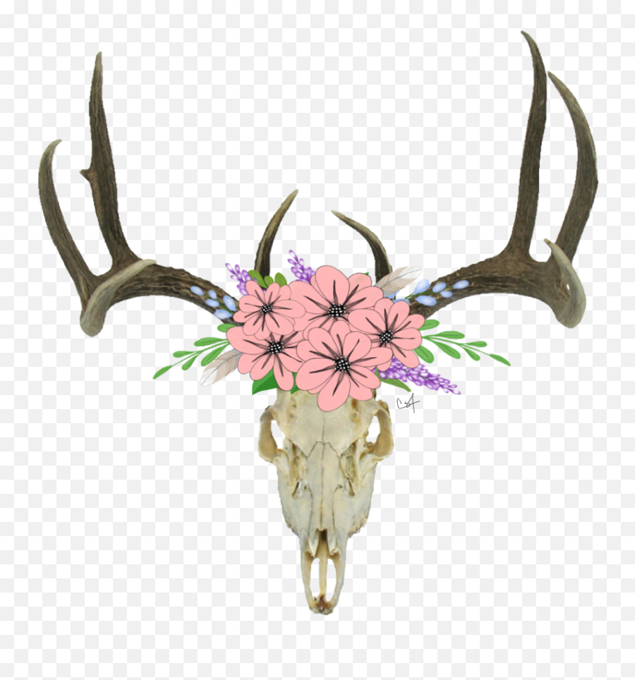 Deer Skull Transparent Background Transparent Cartoon - Deer Skull With Flowers Transparent Emoji,Skull Transparent Background