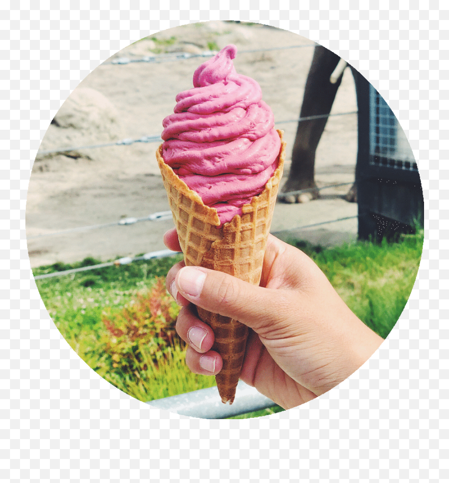 Zeds Real Fruit Ice Cream - Cone Emoji,Ice Cream Transparent