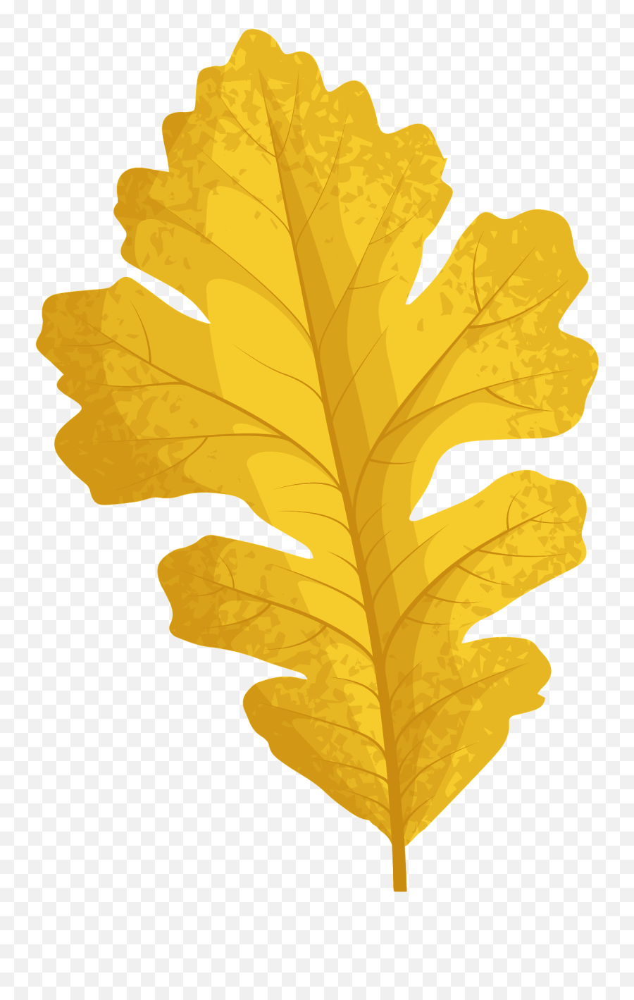 Bur Oak Late Autumn Leaf Clipart Free Download Transparent - Art Emoji,Oak Leaf Clipart