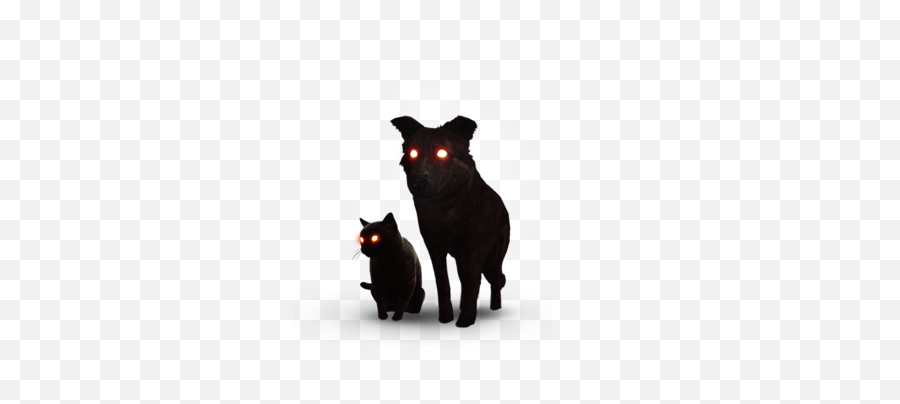 You Died - Album On Imgur Witcher Dog And Cat Emoji,Dark Souls Boss Health Bar Png