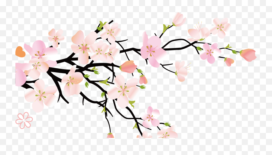 Collection Of Peach Blossom Png Images - Floral Emoji,Cherry Blossom Png