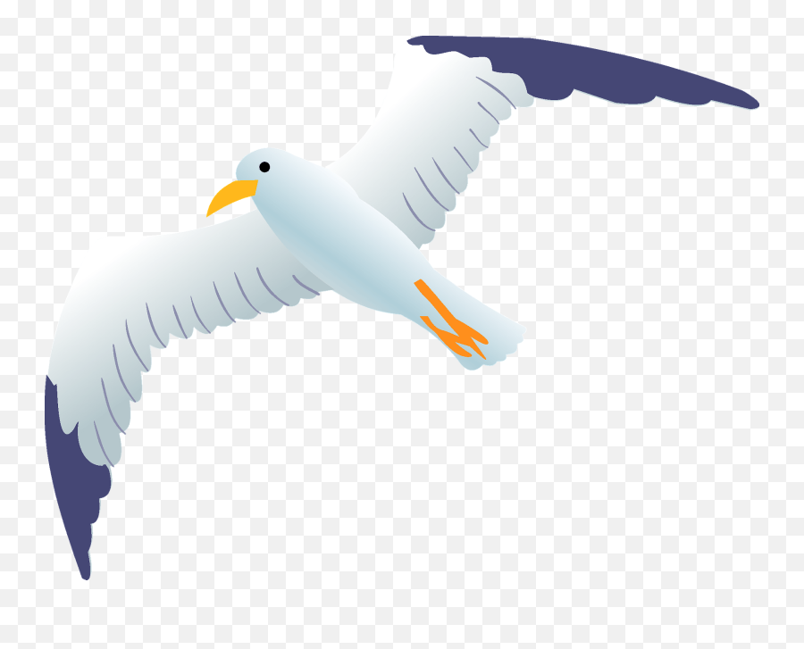 Sea Gull Clipart - Seagull Clipart Png Emoji,Seagull Clipart