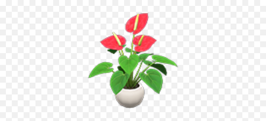 Anthurium Plant Animal Crossing Wiki Fandom - Lovely Emoji,Plants Png