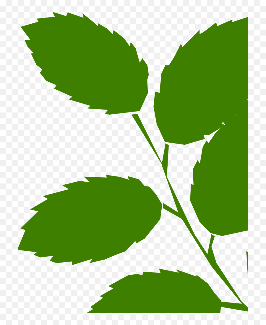 Green Leaves Svg Vector Green Leaves Clip Art - Svg Clipart Emoji,Green Leaves Clipart