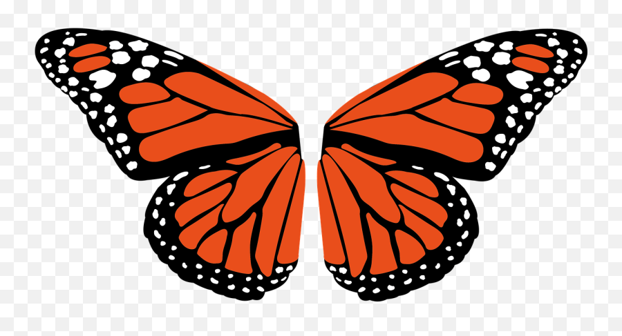 Butterfly Wings Insect - Free Image On Pixabay Emoji,Butterfly Wing Clipart
