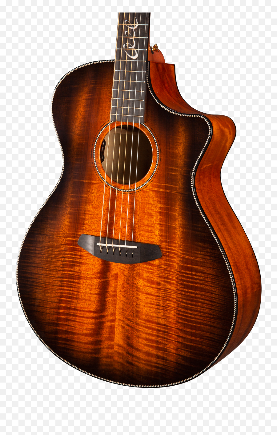 Handmade Acoustic Guitars Best Custom Designs U0026 Sound - Acoustic Guitars Emoji,Guitar Logo