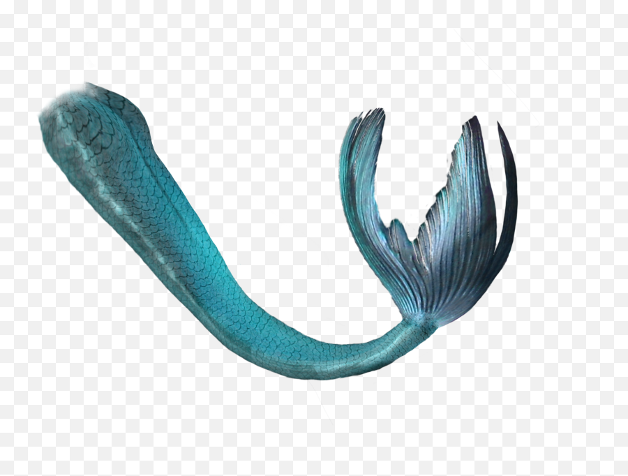 Decorative Blue Mermaid Tail Png - Blue Transparent Mermaid Tails Emoji,Mermaid Tail Png