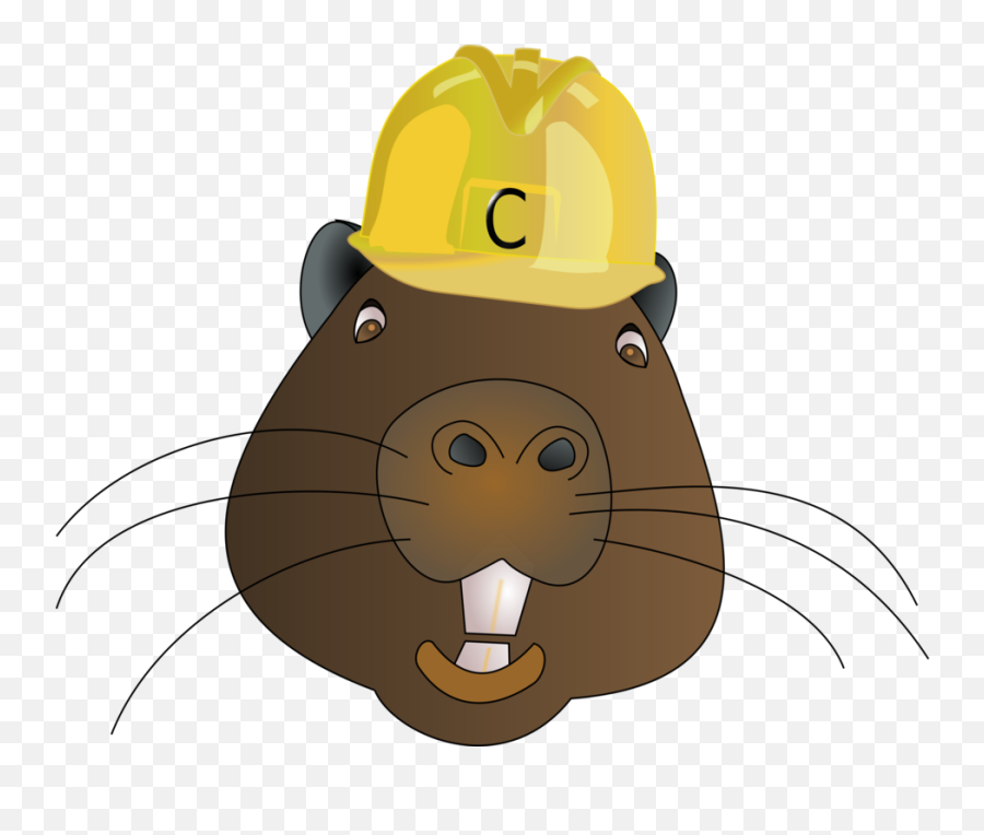 Head Big Cats Carnivoran Png Clipart - Beaver Wearing A Hard Hat Emoji,Beaver Clipart