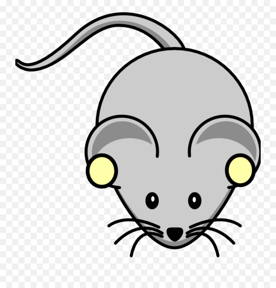 Best Rat Clipart 17566 - Clipartioncom Clip Art Of Rat Emoji,February Clipart Free
