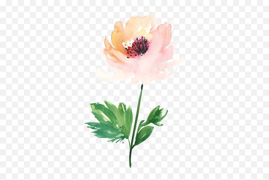 Watercolor Flower Tattoo Transparent Cartoon - Jingfm Emoji,Flower Tattoo Png