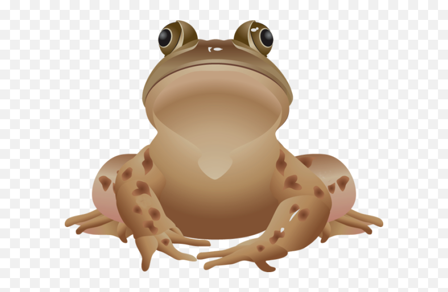 Brown Frog Clip Art 35 Images Frog Clip Tree Frog Vector Emoji,Toads Clipart