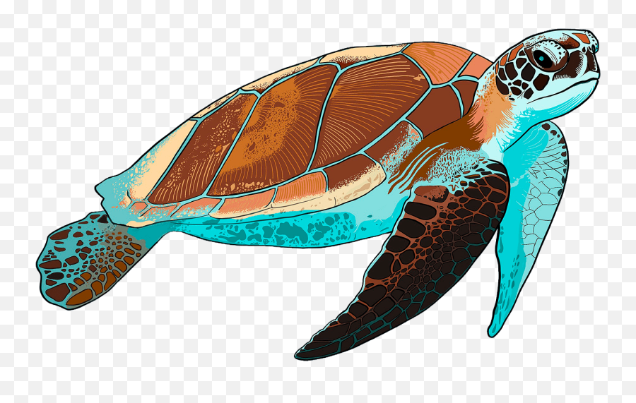 Sea Turtle Clipart - Sea Turtle Clipart Png Emoji,Turtle Clipart