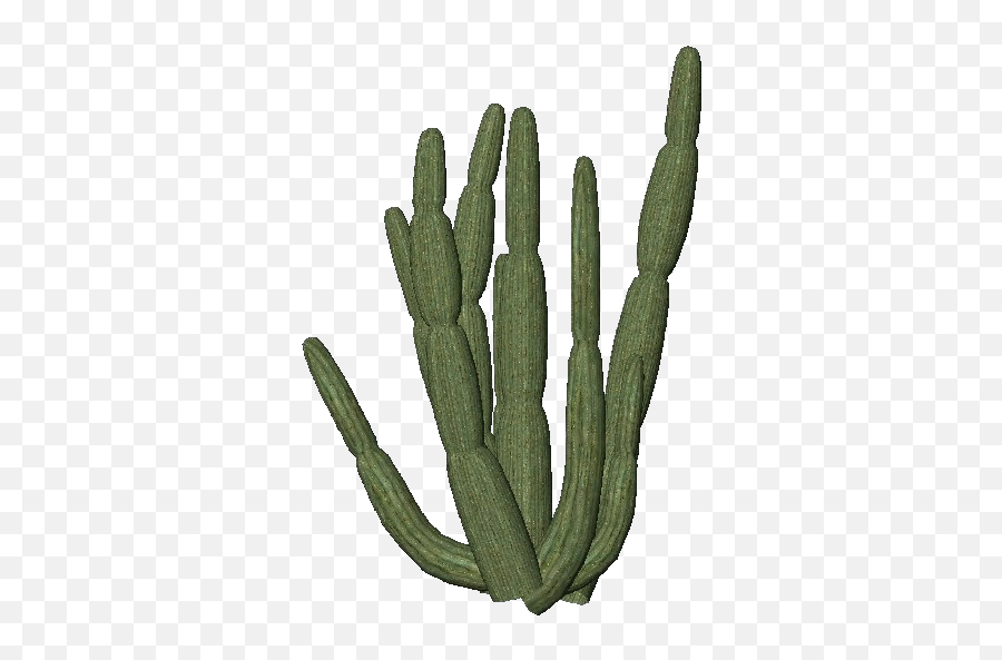 Organ Pipe Cactus Png Clipart - Organ Pipe Cactus Transparent Emoji,Cactus Png