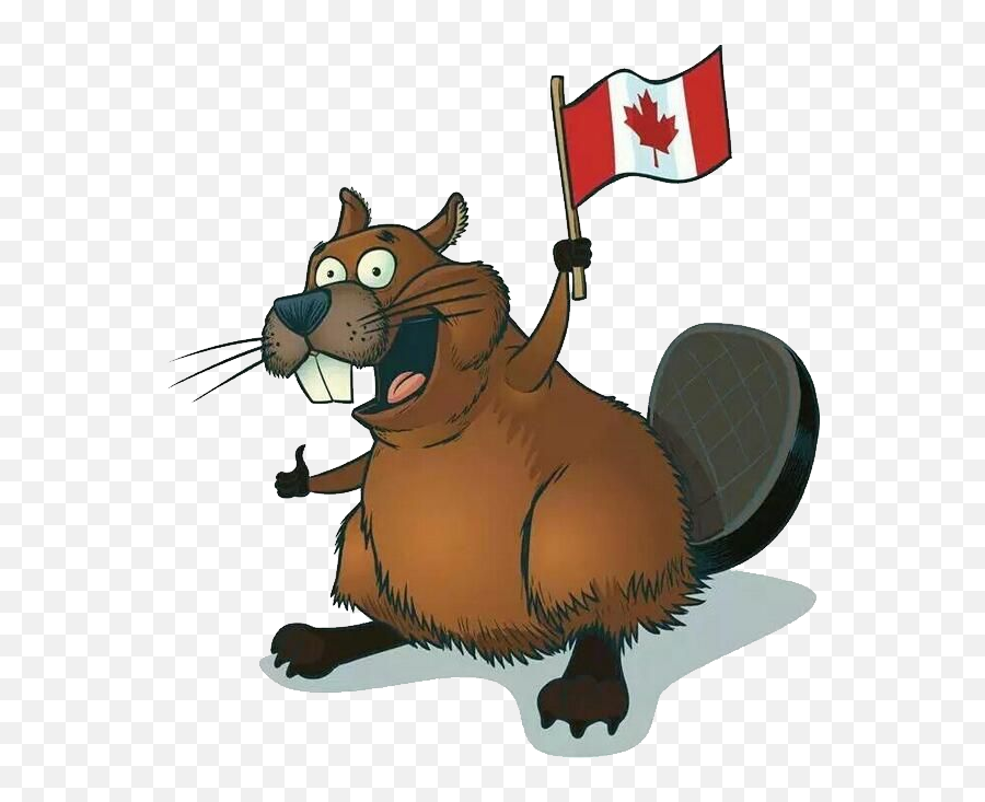 Beaver Canada Flag Png Pnglib U2013 Free Png Library Emoji,Canadian Flag Transparent