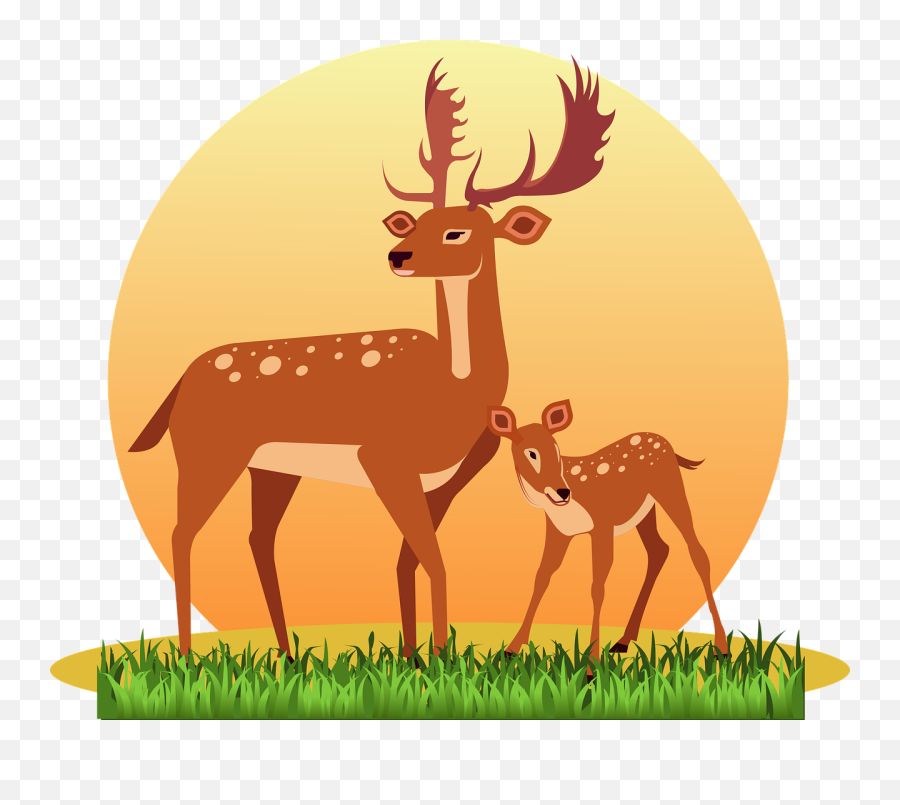 300 Free Deer U0026 Reindeer Vectors - Pixabay Filhote De Cervo Desenho Png Emoji,Deer Head Clipart