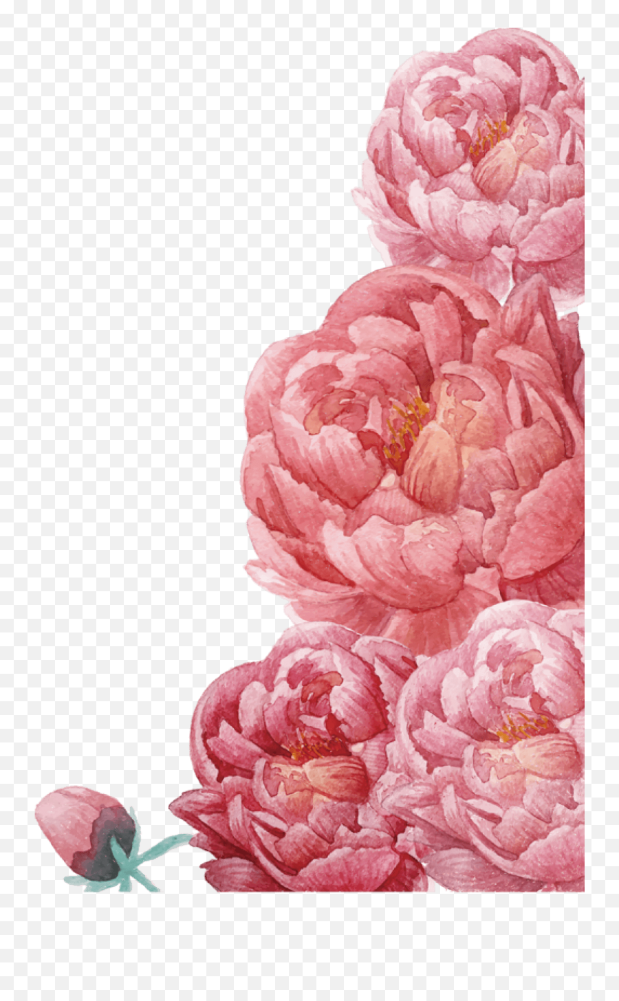 Flower Frame Png Image Free Download Searchpngcom - Watercolor Flower Peony Png Emoji,Floral Frame Png