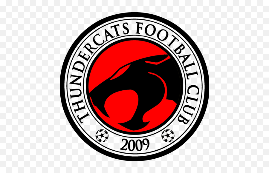 International Budo Academy Logo Hd Png - Uefa Champions League Emoji,Thundercats Logo