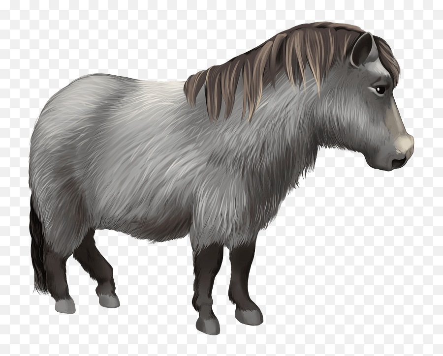 Welsh Pony Clipart - Animal Figure Emoji,Pony Clipart