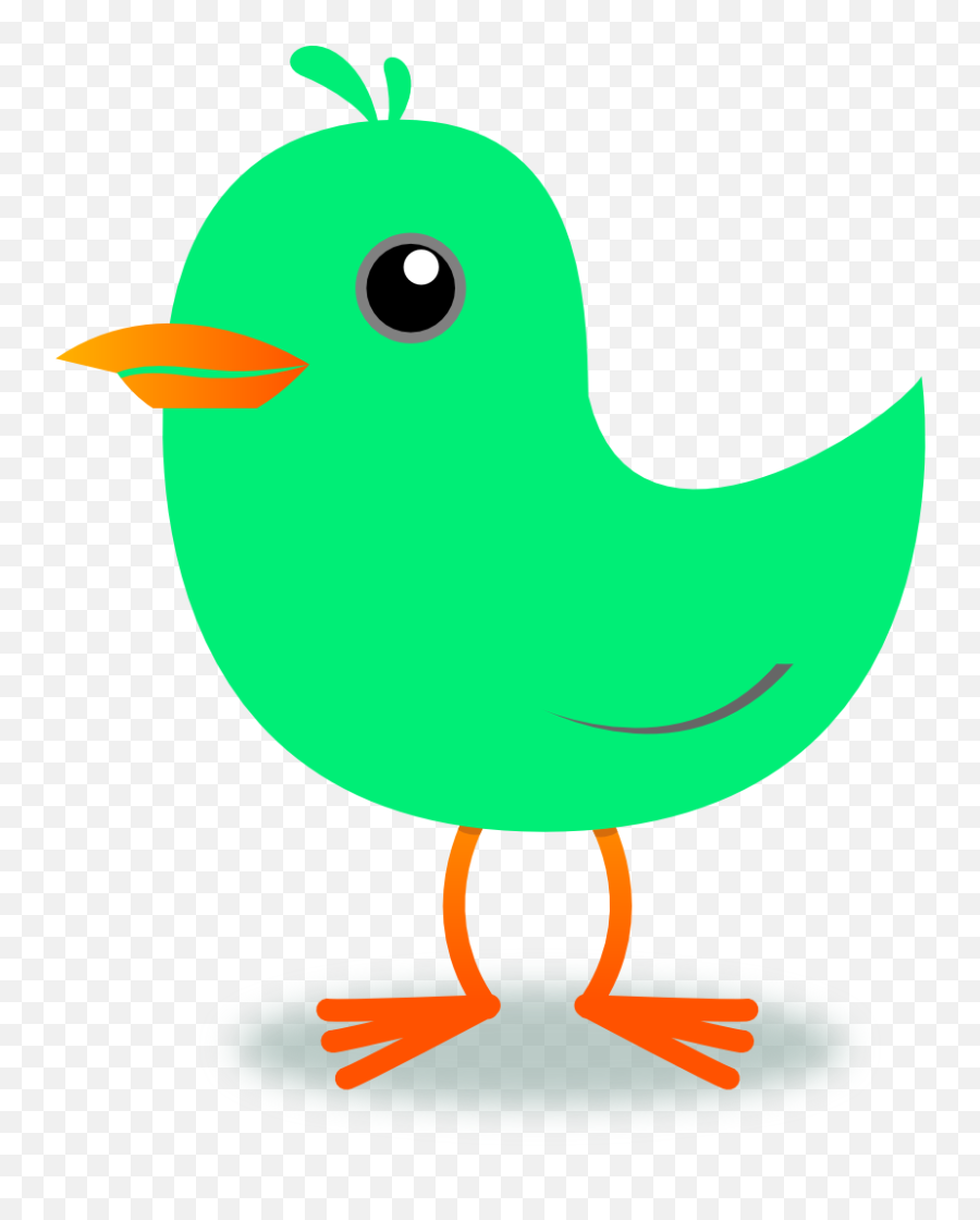 Rainforest Clipart Rainforest Bird - Spring Bird Clipart Png Emoji,Bird Clipart