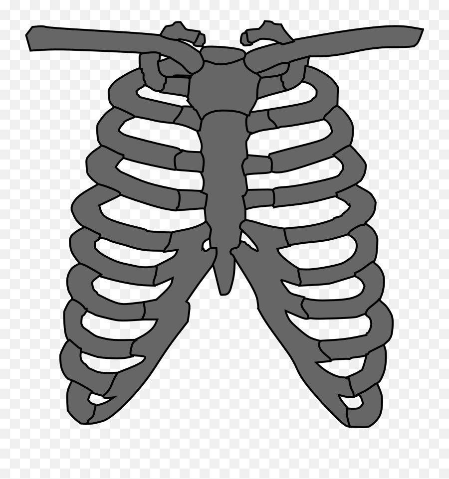 Clipart Of Rib Cage Bones Free Image - Skeleton Torso Png Emoji,Bones Clipart