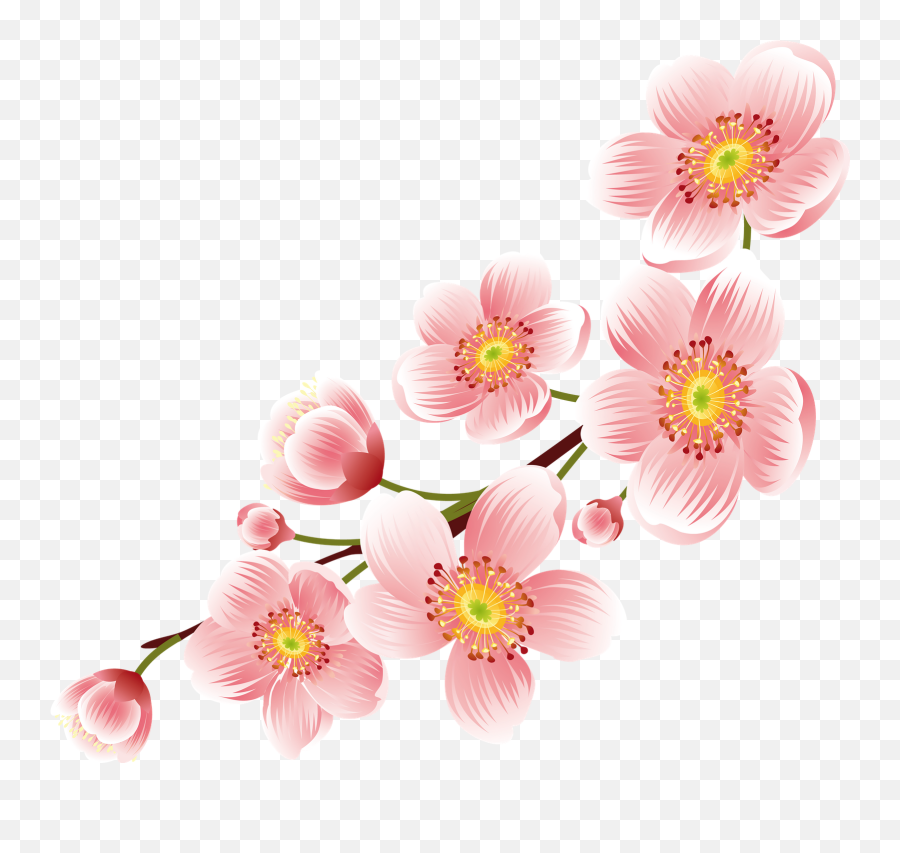 Cherry Blossom - Cherry Blossom Emoji,Cherry Blossom Png