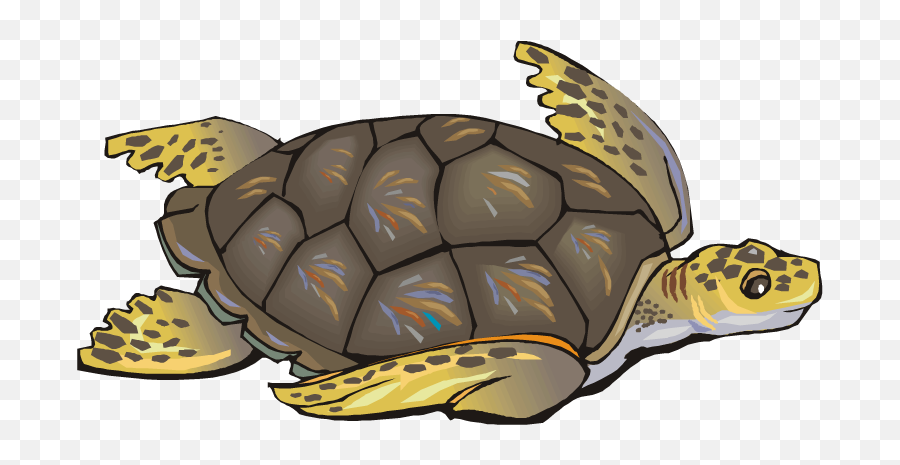 Sea Turtle Clip Art Free Clipart Images - Turtle Cliparts Emoji,Turtle Clipart