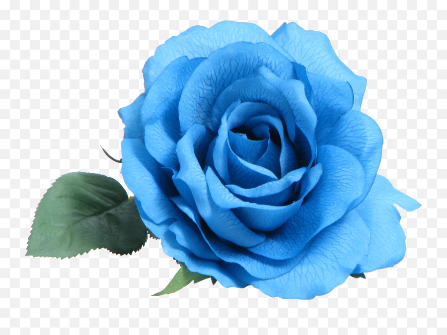 Blue Rose Clip Art - Blue Rose Gif Png Emoji,White Rose Png