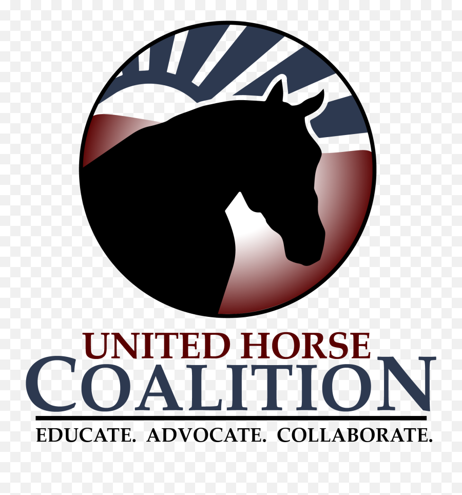 Canter Horses U2013 Canter Retiring Thoroughbred Racehorse Listings Emoji,Horse Transparent
