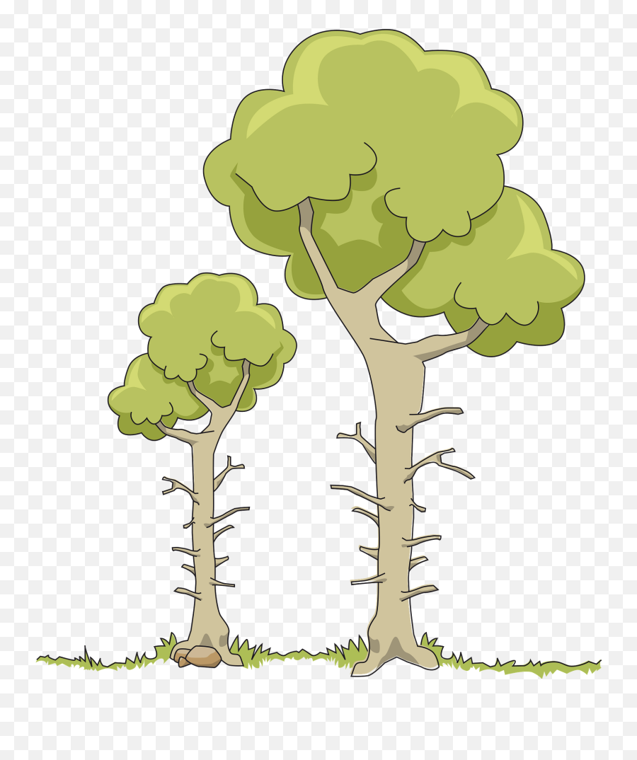 Two Trees Clipart Free Download Transparent Png Creazilla - Clipart 2 Trees Emoji,Trees Clipart
