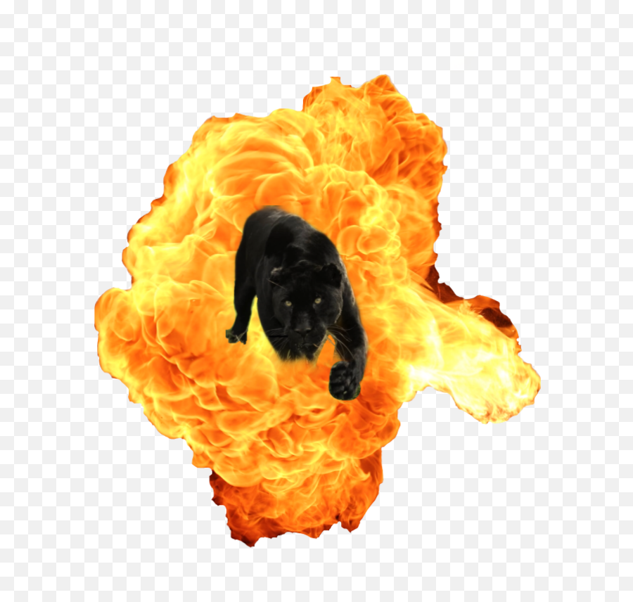 This Is Going Again - Fire Explosion Png Transparent Emoji,Explosion Png