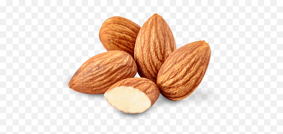 Almond Nut Png Transparent Hd Photo - Almond Png Emoji,Nuts Png